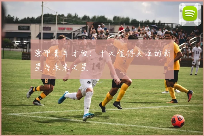 意甲青年才俊：十大值得关注的新星与未来之星