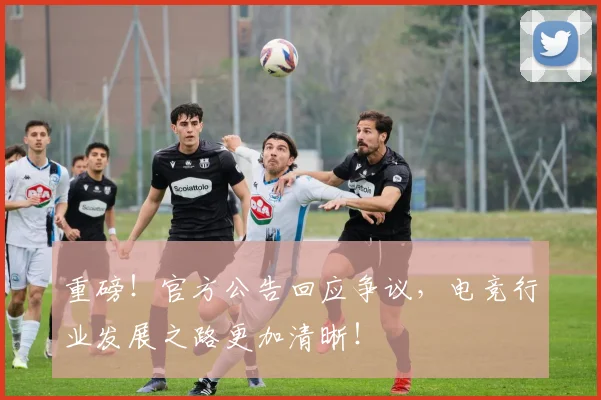 重磅！官方公告回应争议，电竞行业发展之路更加清晰！